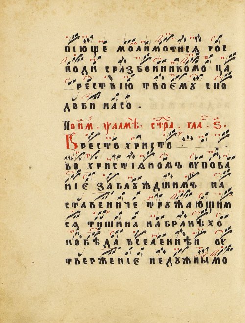 Страница 56