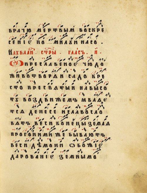 Страница 57