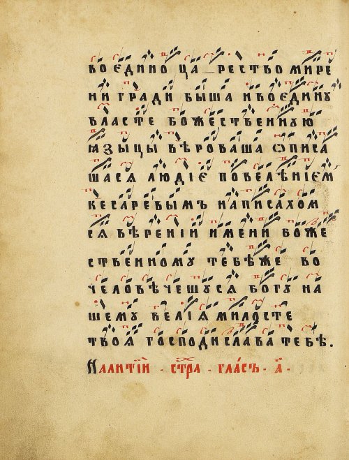 Страница 116