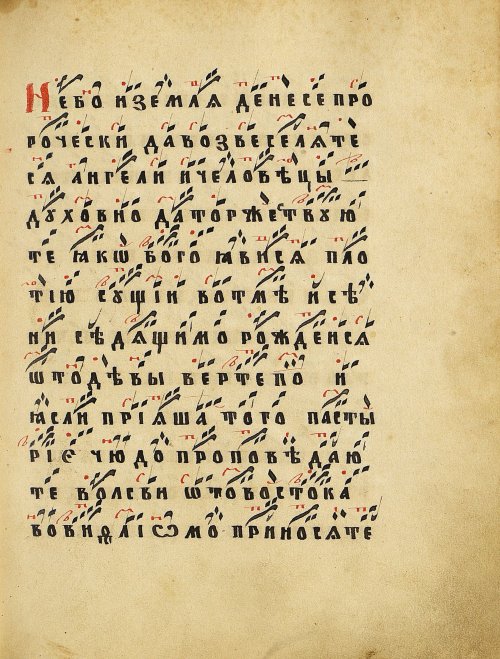 Страница 117