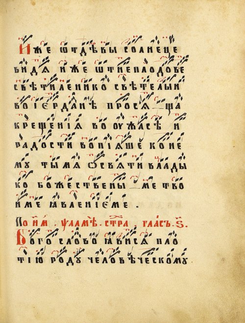 Страница 163