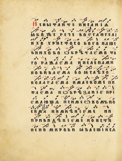 Страница 180