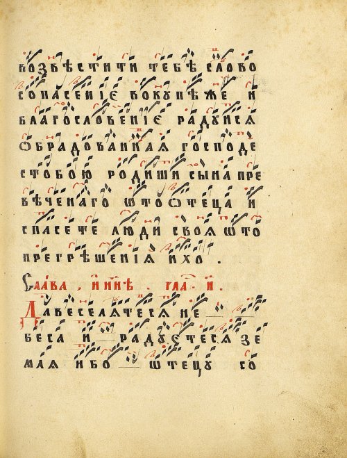 Страница 205