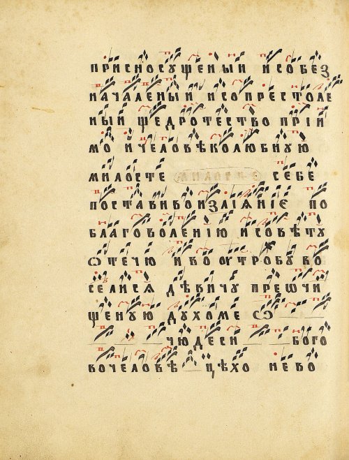 Страница 206