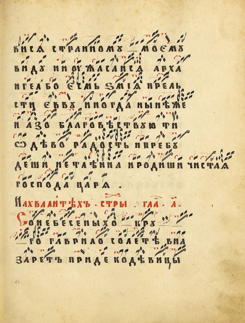 Страница 215