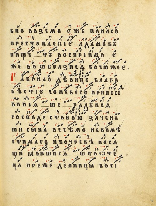 Страница 217