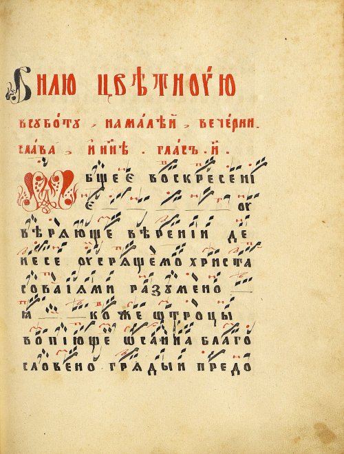 Страница 221