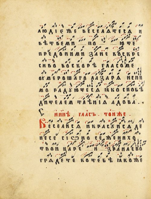 Страница 224
