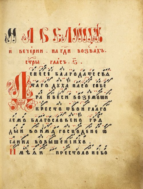 Страница 227