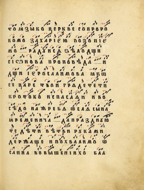 Страница 229