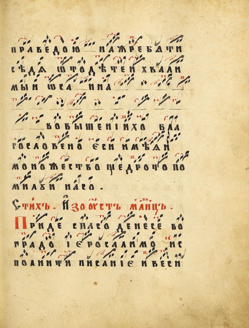 Страница 237