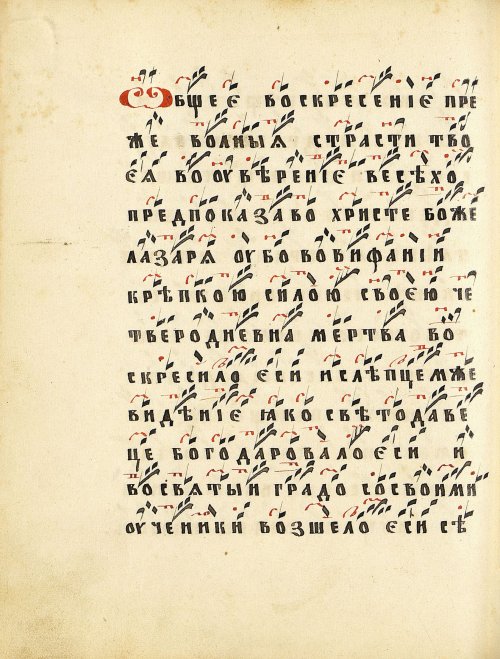 Страница 244