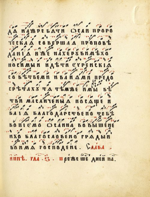 Страница 245