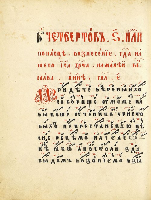 Страница 246