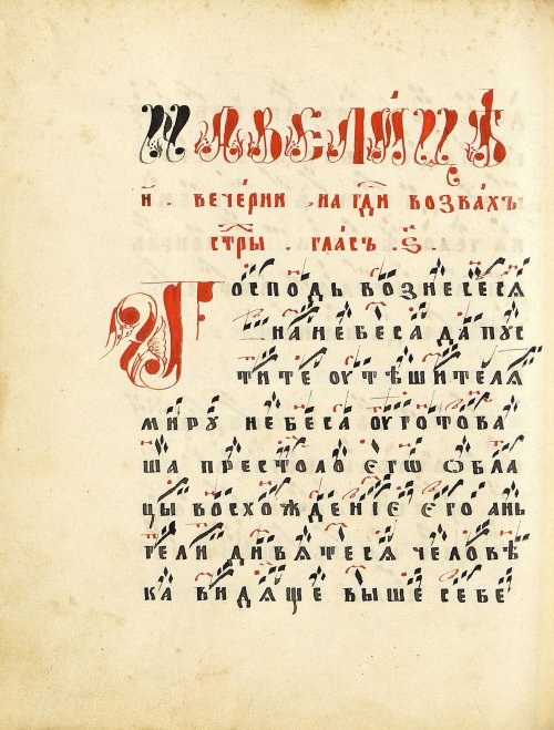Страница 248