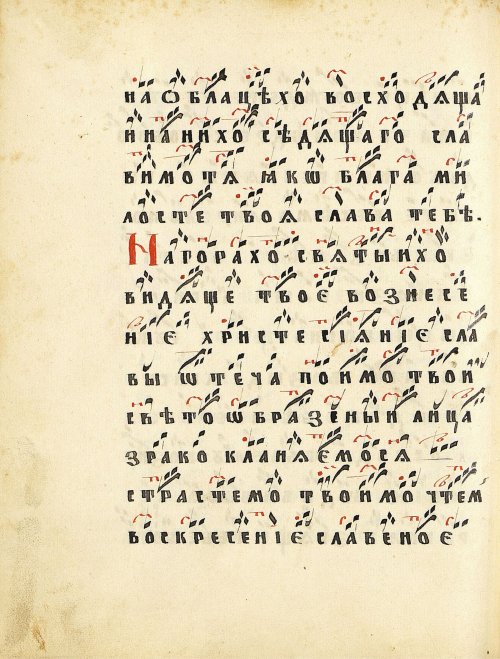 Страница 250