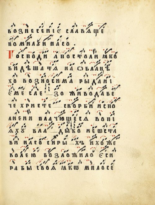 Страница 251