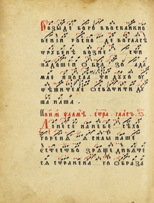Страница 262