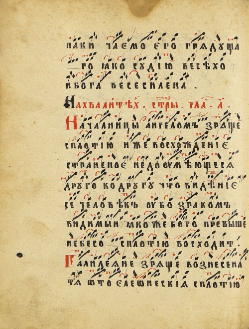 Страница 264