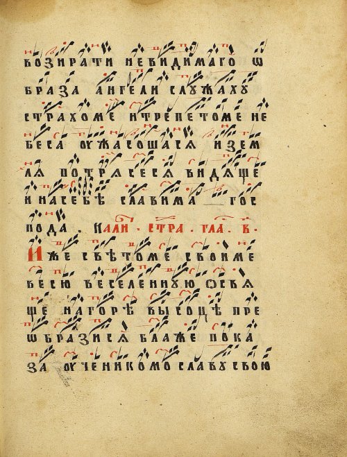 Страница 299