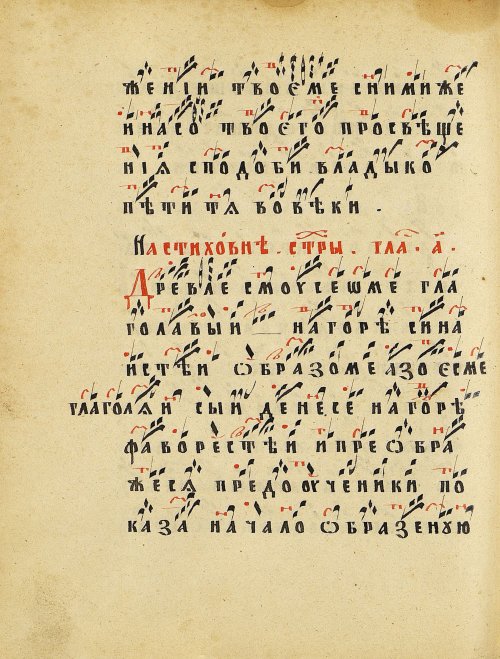 Страница 302