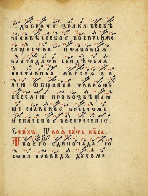 Страница 303