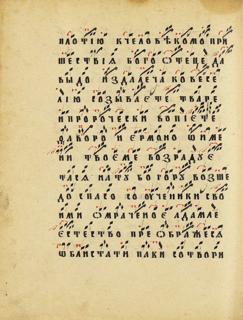 Страница 304