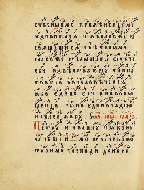 Страница 306