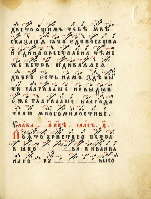 Страница 313