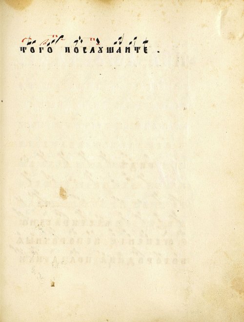 Страница 315
