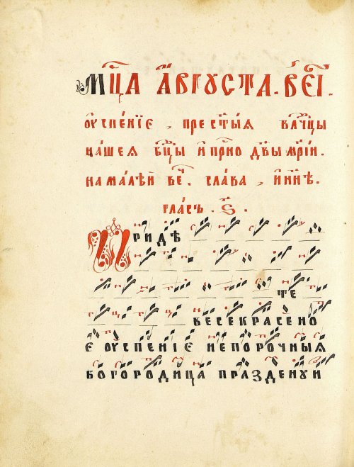 Страница 316