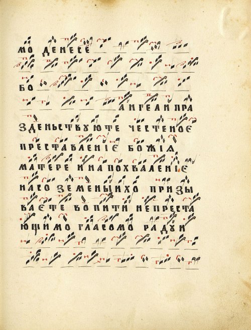 Страница 317