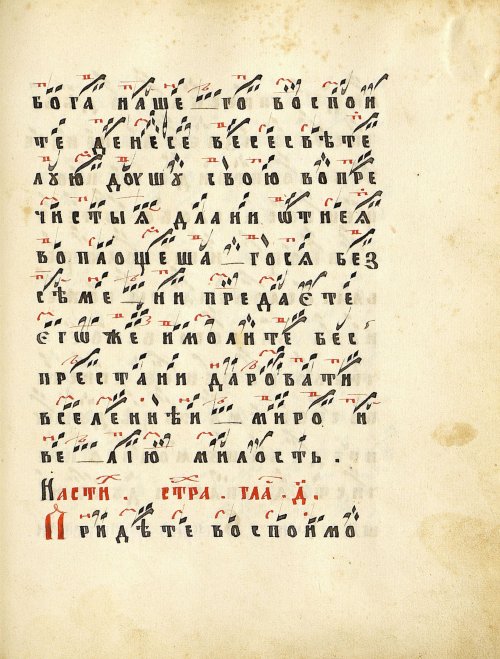 Страница 333