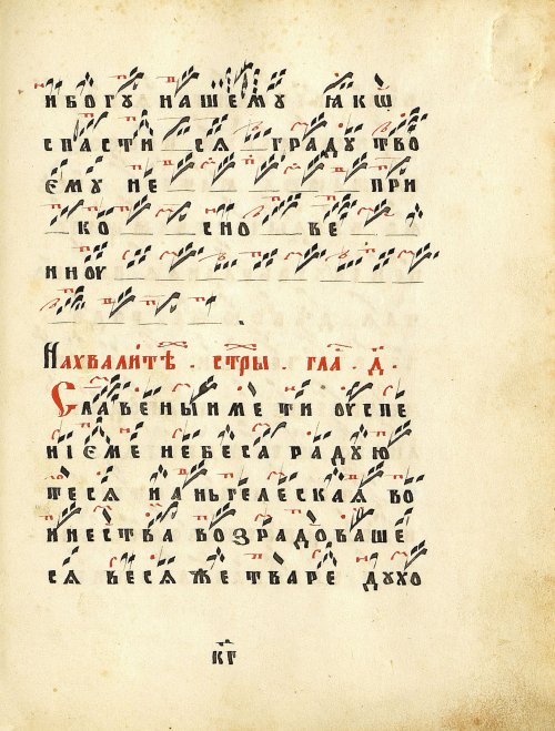 Страница 343