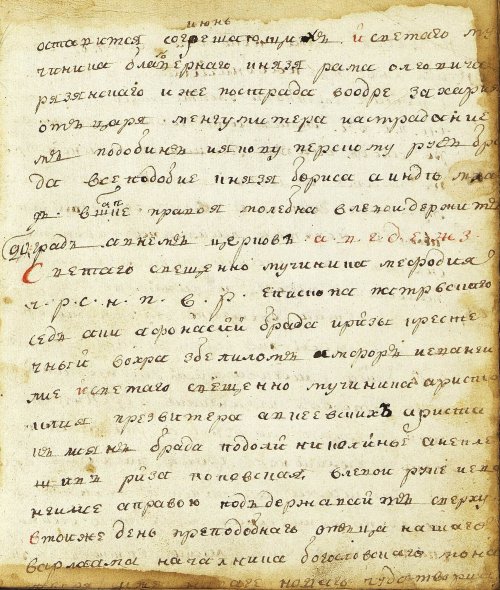 Страница 243