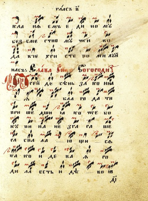 Страница 29