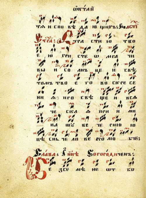 Страница 48