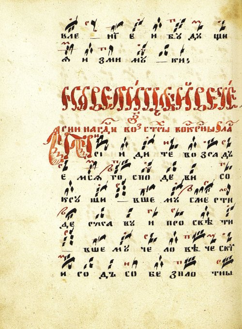 Страница 118