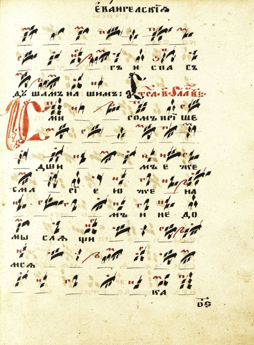 Страница 153