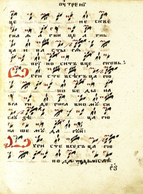 Страница 215