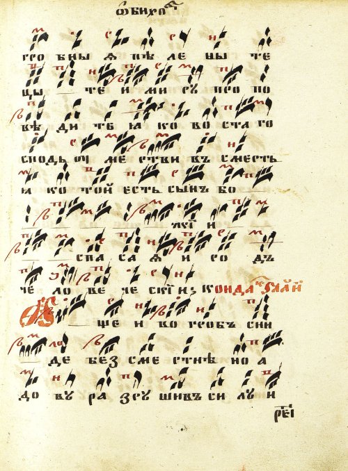 Страница 231