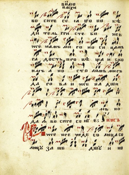 Страница 232