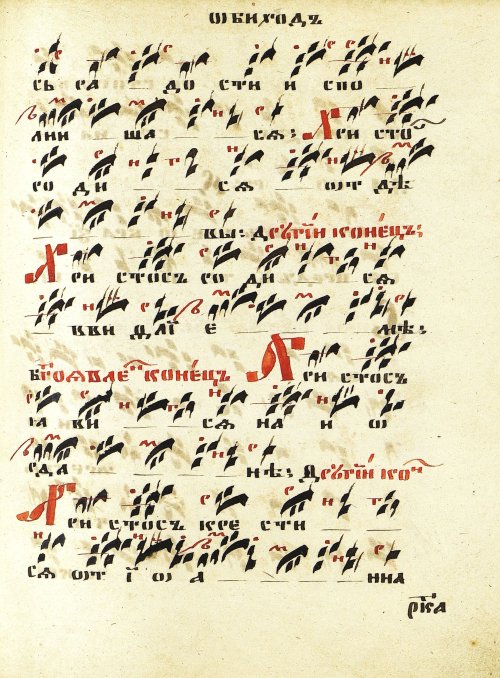 Страница 243