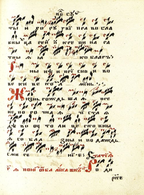 Страница 251
