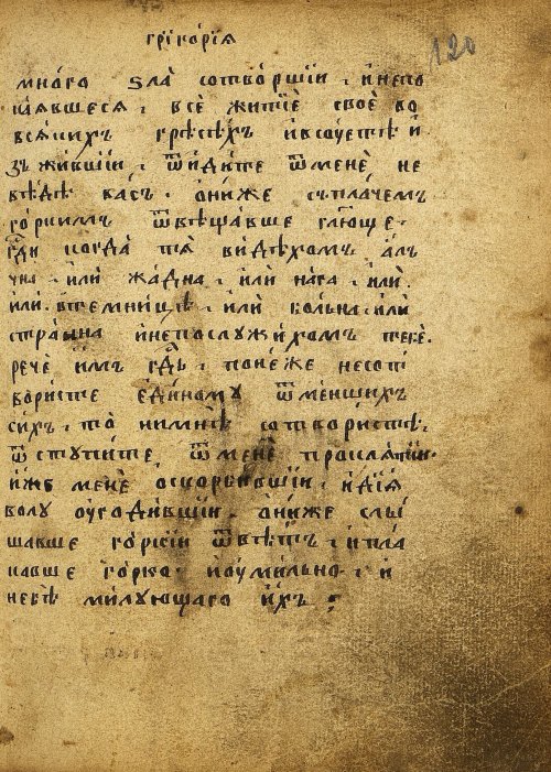 Страница 243