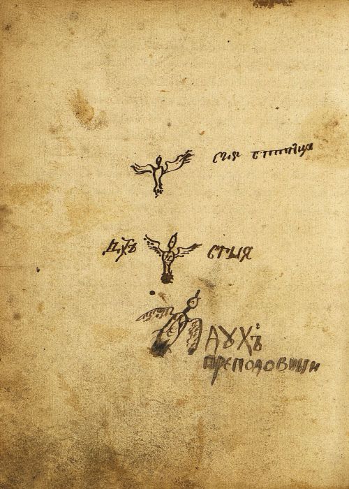 Страница 244