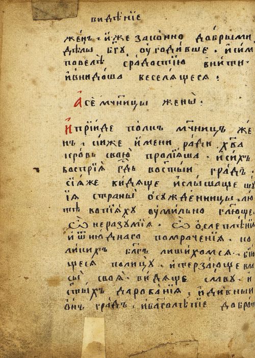 Страница 262