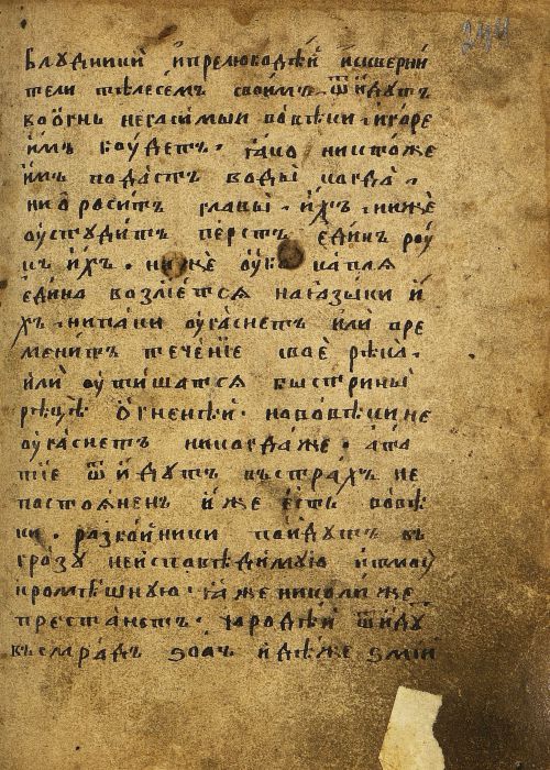 Страница 491