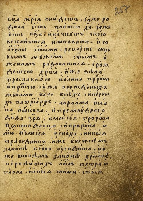 Страница 517