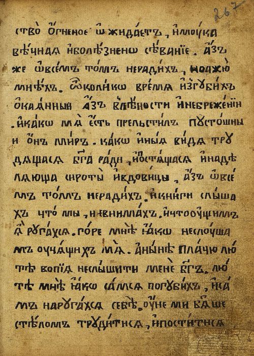 Страница 537